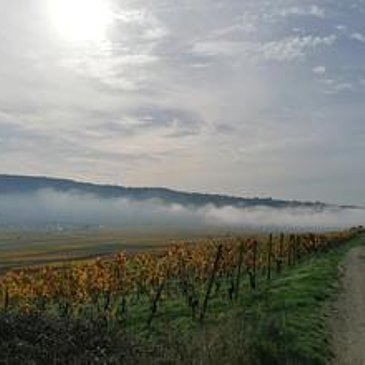 Minheim im Nebel