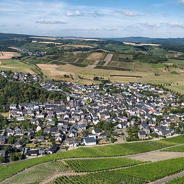Wein- und Urlaubsort Veldenz an der Mosel