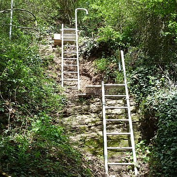 Leitern im "Erdener Klettersteig"