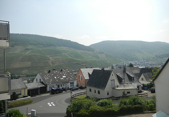 DSCN4261
