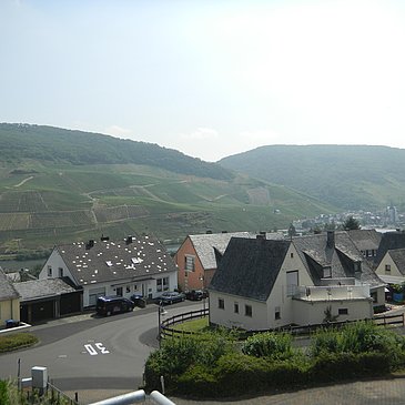 DSCN4261