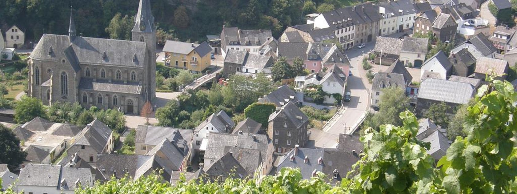 Blick von den Weinbergen auf Neumagen-Dhron