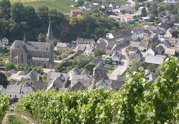 Blick von den Weinbergen auf Neumagen-Dhron