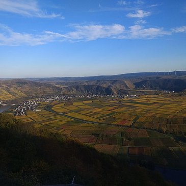 Wunderschöne Moselschleifen