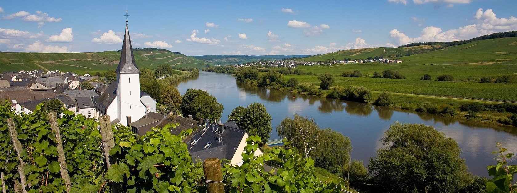 Kesten an der Mosel