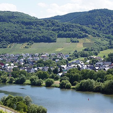 Andel an der Mosel
