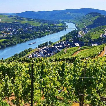 Weinort Lieser Genetsch Mosel