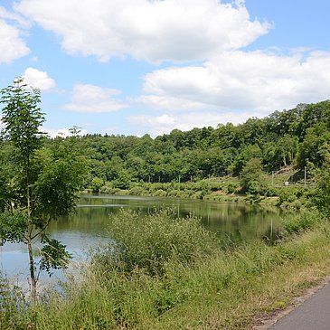 Der Mosel-Radweg bei Wehr