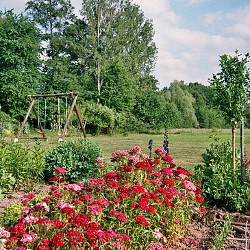 imm024_23