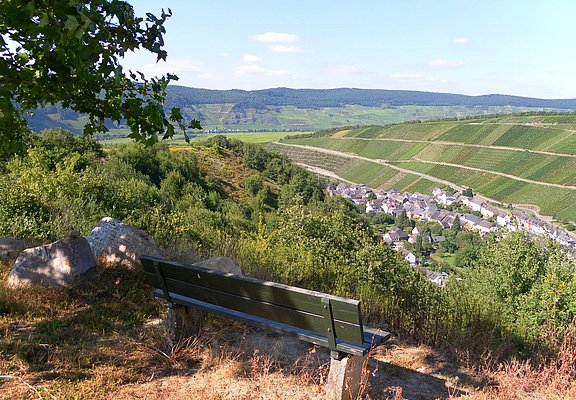 Rastplatz oberhalb Dhron