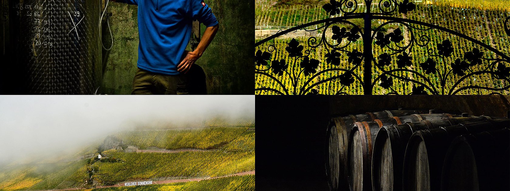 Weingut Studert-Prüm Impressionen