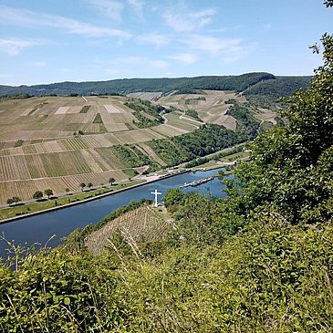 Umgebung von Wintrich Teil 2
