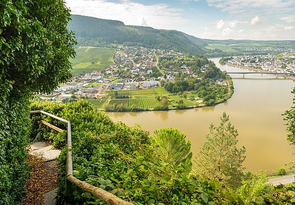 Blick vom Moselsteig auf Mehring