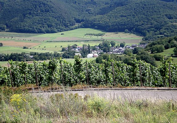 Aussicht in den Hunsrück