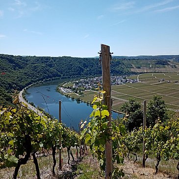 Umgebung von Wintrich Teil 1