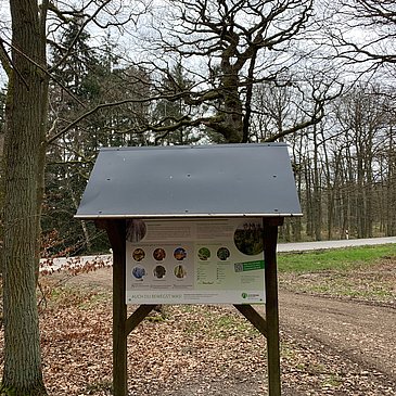 Informationstafel zum Wald