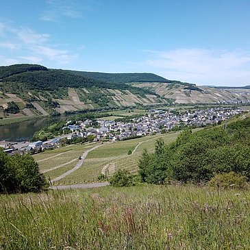 Blick auf Wintrich