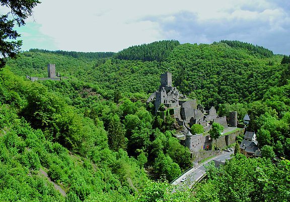 Das Bild zeigt die Manderscheider Burgen inmitten eines grünen Waldtales.