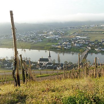 Bild Piesport aus Goldtröpfchen1