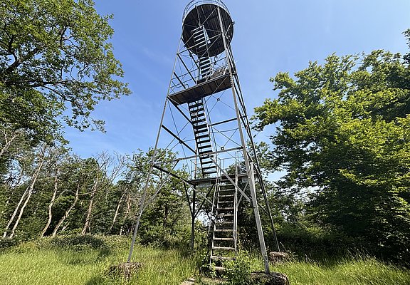 Aussichtsturm Grainskopf