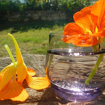 Gartensommer
