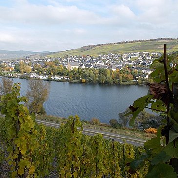Neumagen-Dhron