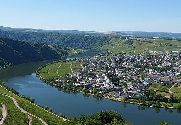Ausblick Piesport