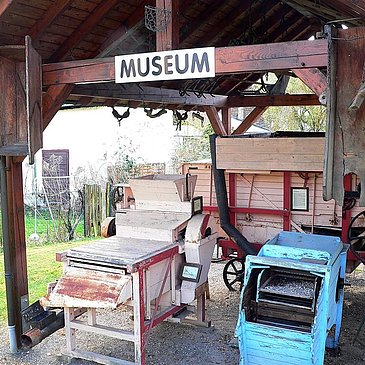 Museum Wintrich