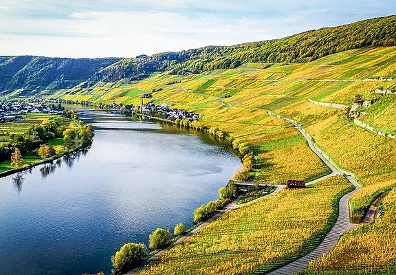 Piesporter Weinberge im Herbst