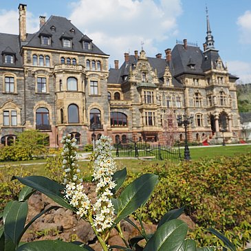 Abstecher zum Schloss Lieser