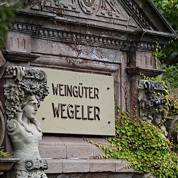 Schild im Weinberg