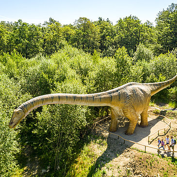 Das Bild zeigt einen Langhalsdinosaurier im Dinopark Teufelsschlucht.