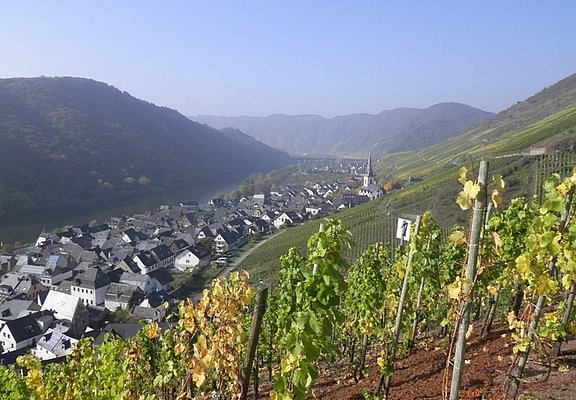 Aussicht aus den Weinbergen auf Ediger-Eller