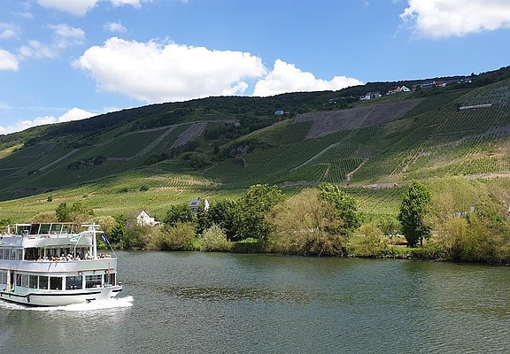 Schiffahrten auf der Mosel