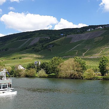 Schiffahrten auf der Mosel